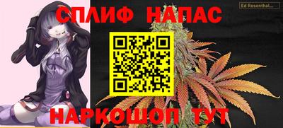 прущие грибы Моздок